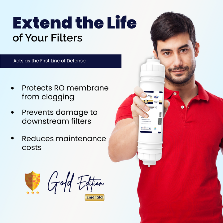 BioPlus Sediment Filter 10