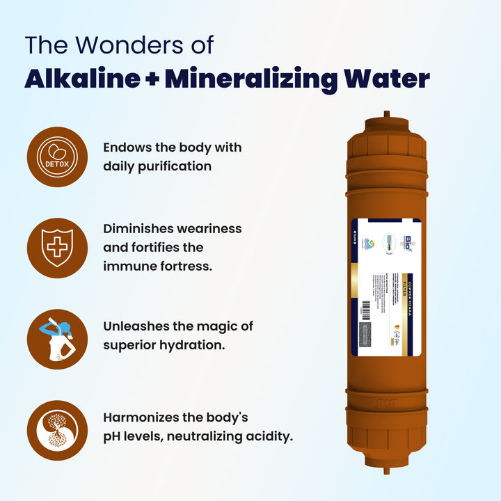 BioPlus 8 Inch 7-in-1 Copper H2AAA Water Filter - Alkaline Water filte ...